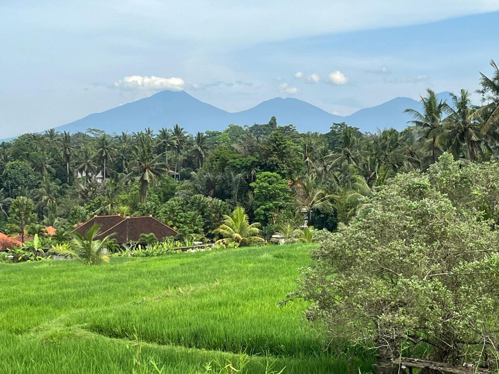 Maple Ridge Ubud Villas Luaran gambar